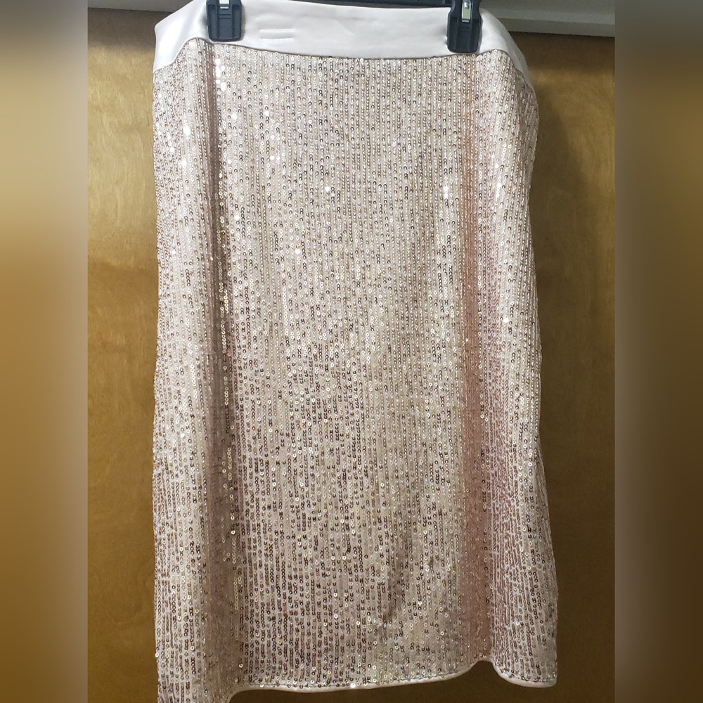 Liumilac Sequin skirt Size XL